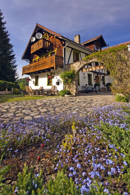 Willa Krokus Międzygórze Exterior foto